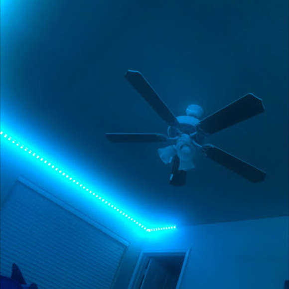 dkjgreen6